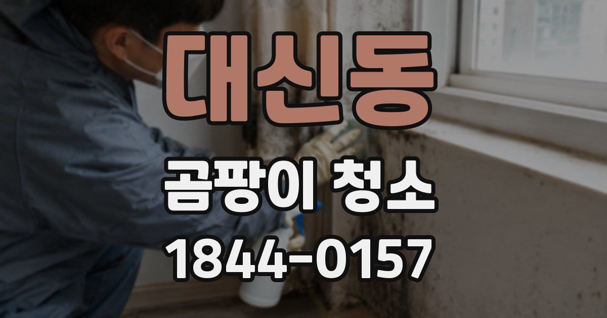 대신동 곰팡이 청소