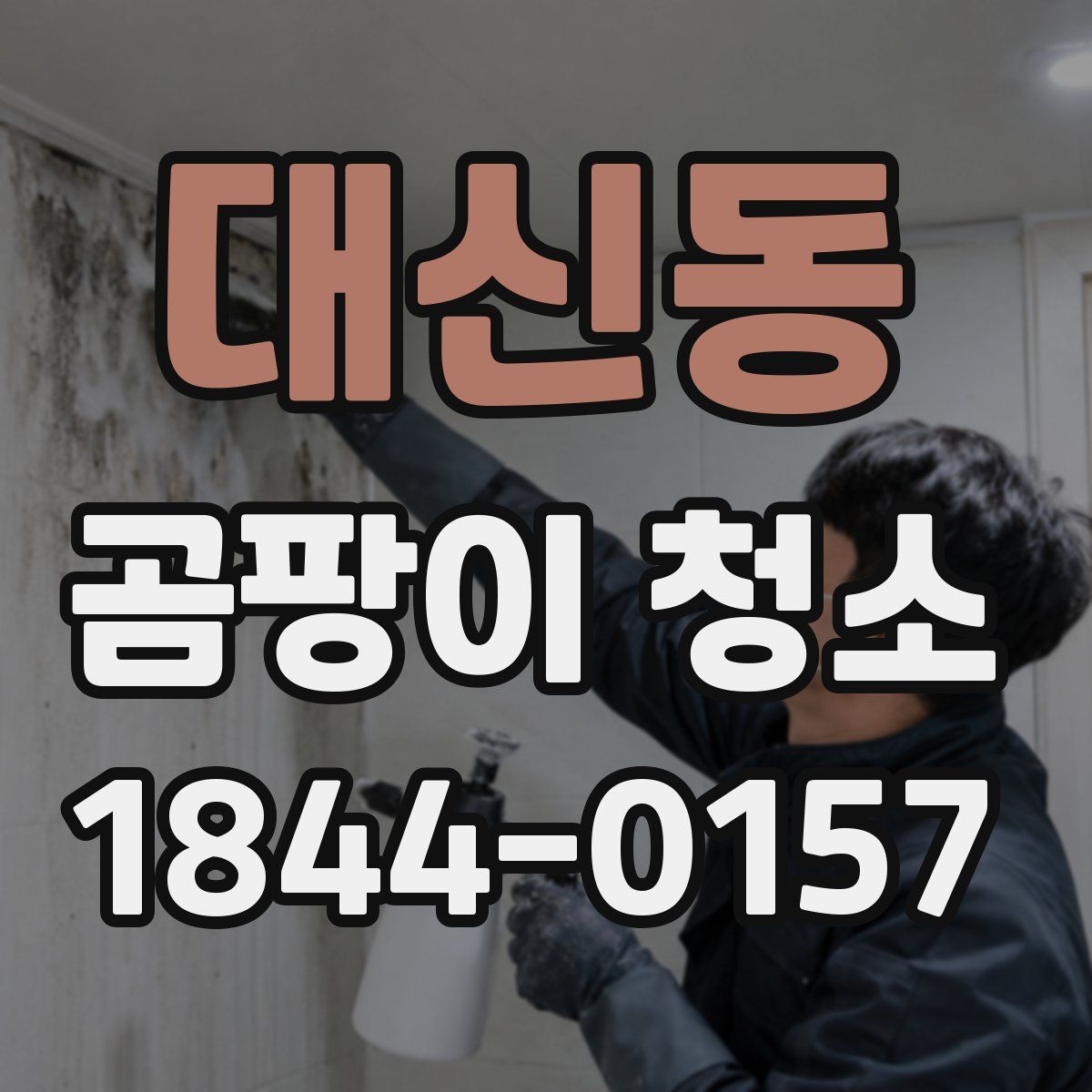 대신동 곰팡이 청소