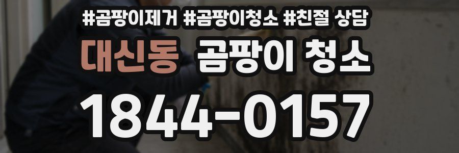 대신동 곰팡이 청소