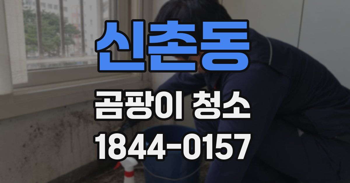 신촌동 곰팡이 청소