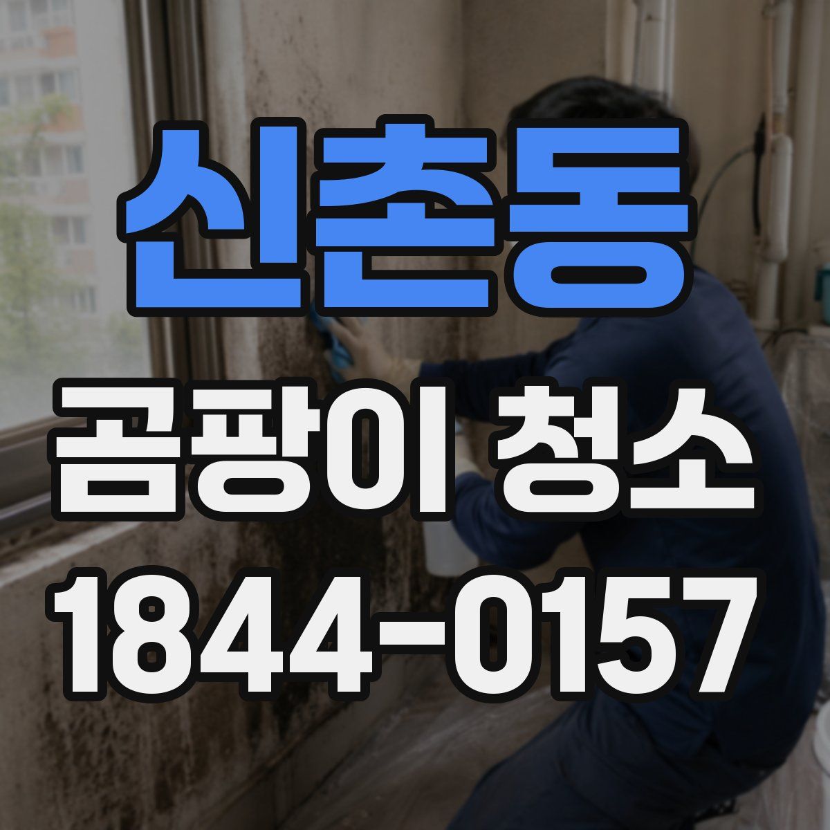 신촌동 곰팡이 청소