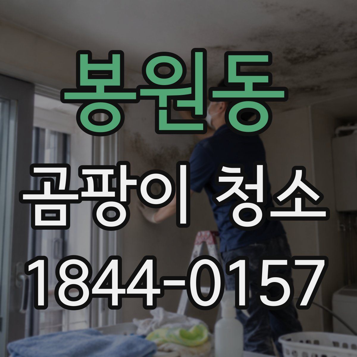 봉원동 곰팡이 청소