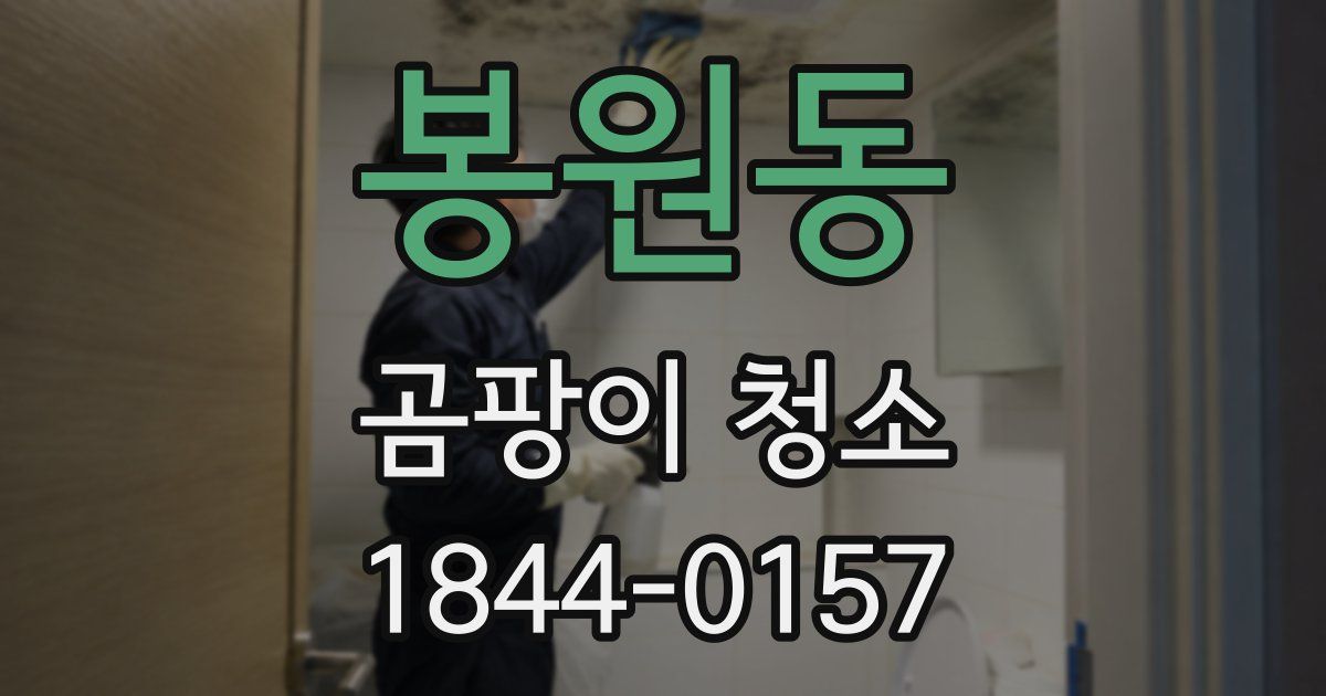 봉원동 곰팡이 청소