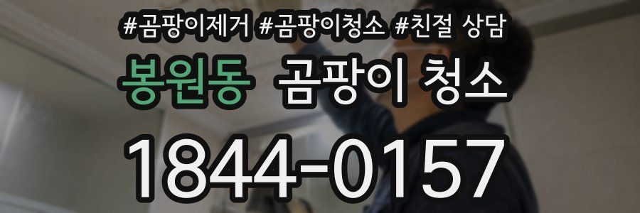 봉원동 곰팡이 청소
