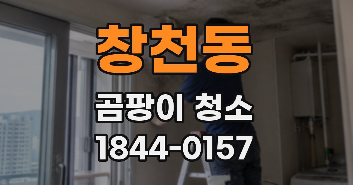 창천동 곰팡이 청소