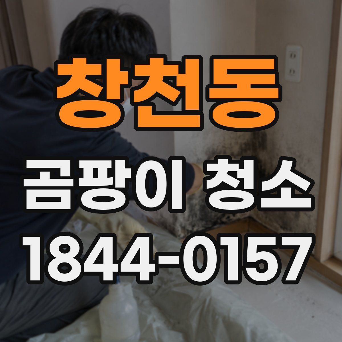 창천동 곰팡이 청소