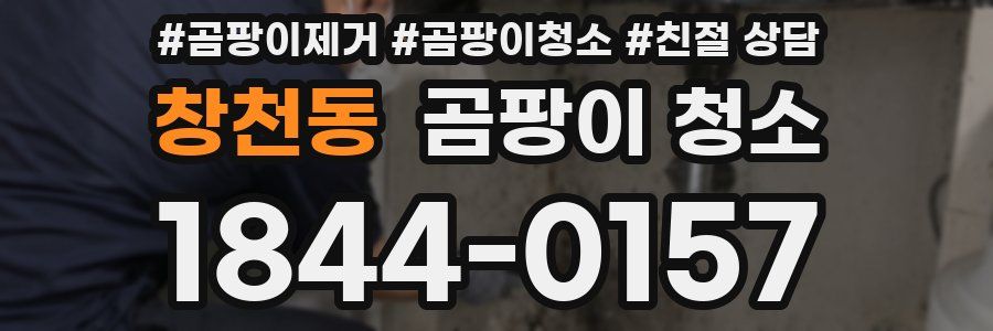 창천동 곰팡이 청소
