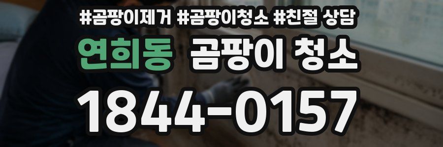 연희동 곰팡이 청소