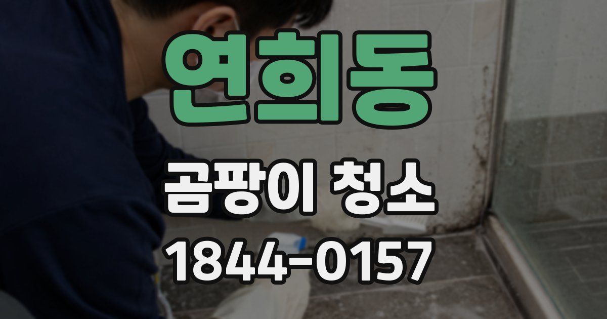 연희동 곰팡이 청소