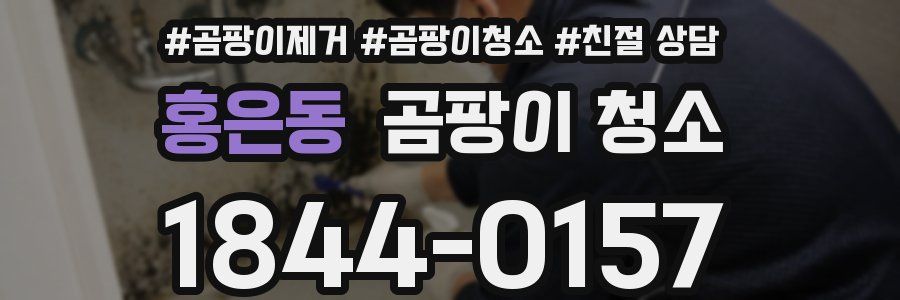 홍은동 곰팡이 청소