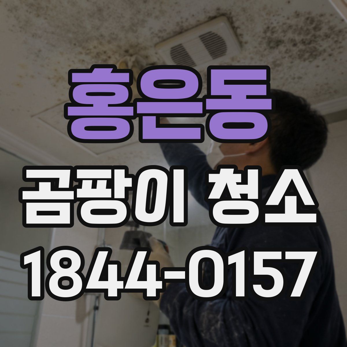 홍은동 곰팡이 청소