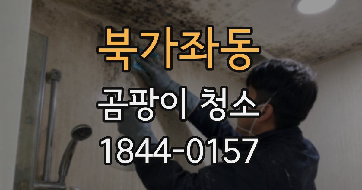 북가좌동 곰팡이 청소