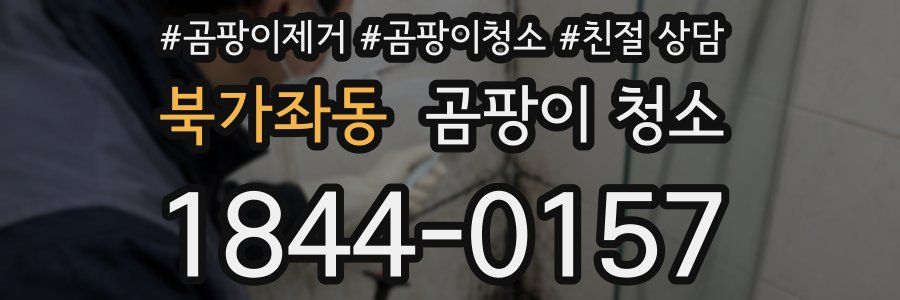 북가좌동 곰팡이 청소