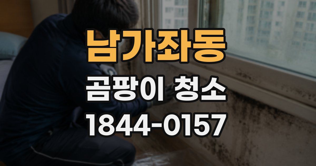 남가좌동 곰팡이 청소