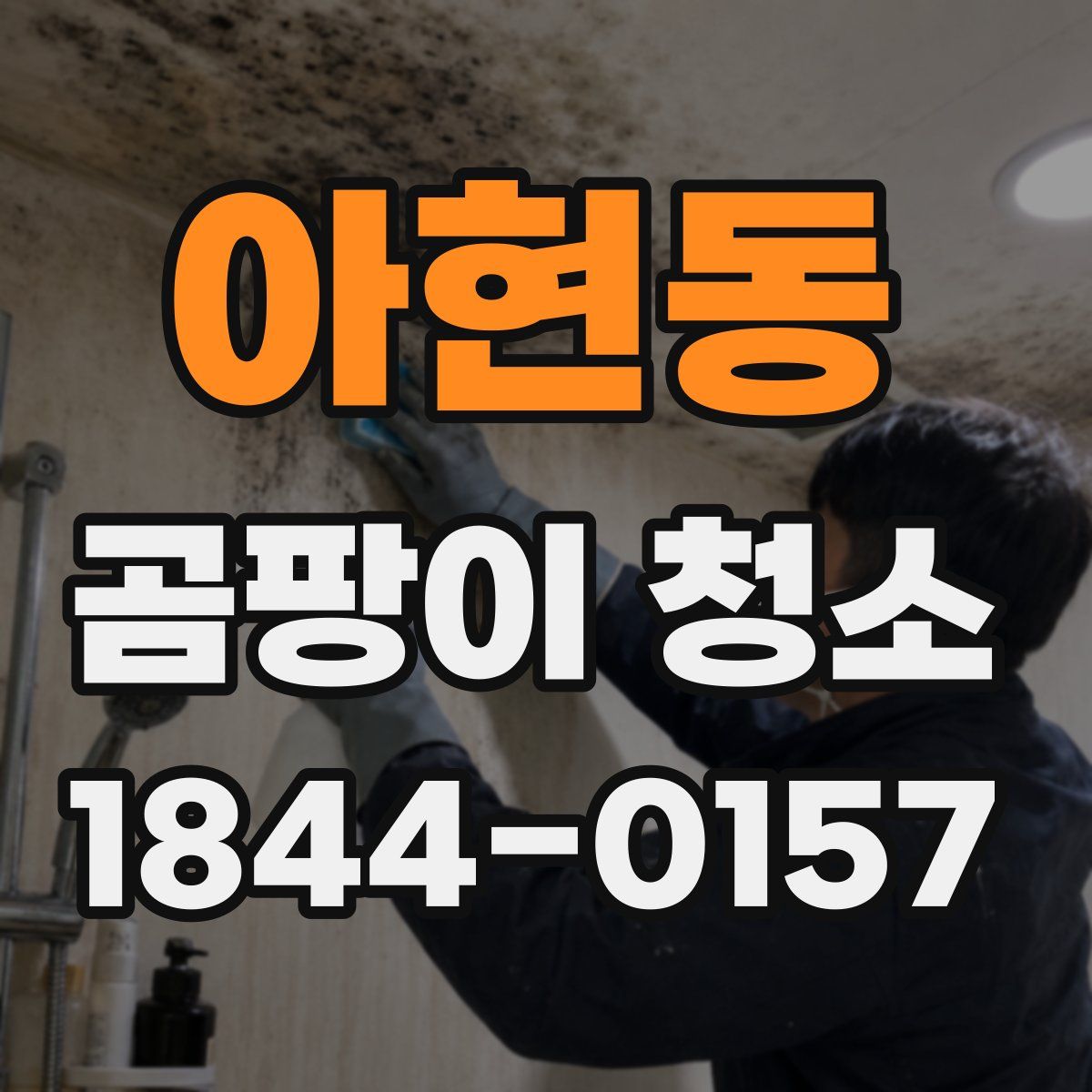 아현동 곰팡이 청소
