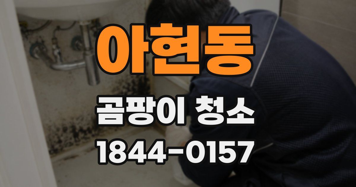 아현동 곰팡이 청소