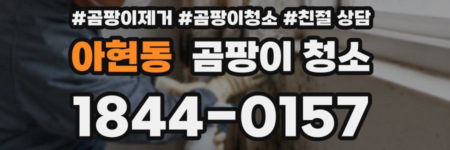 아현동 곰팡이 청소