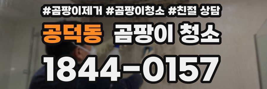 공덕동 곰팡이 청소