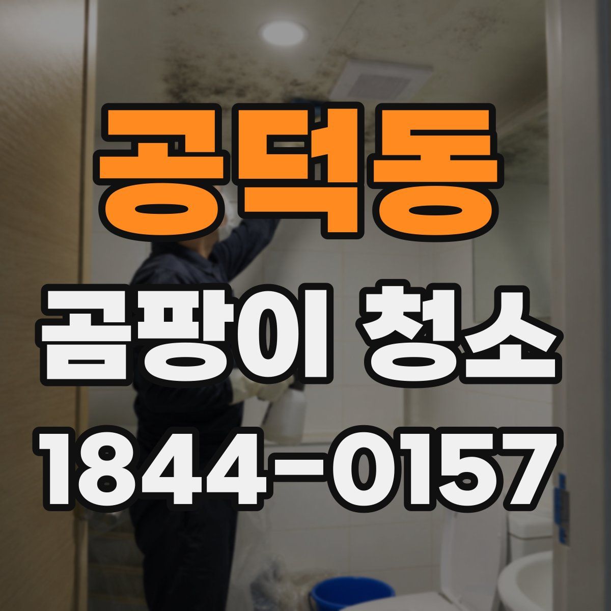 공덕동 곰팡이 청소