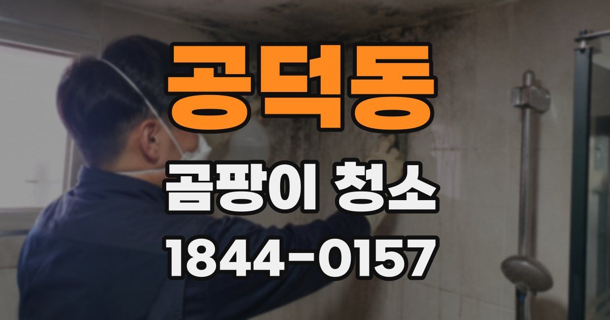 공덕동 곰팡이 청소