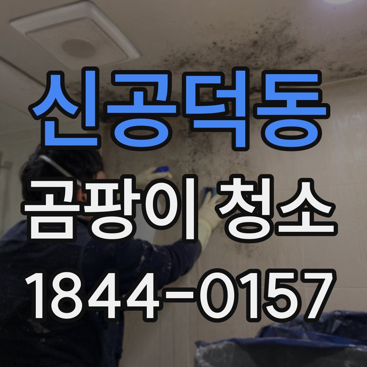 신공덕동 곰팡이 청소