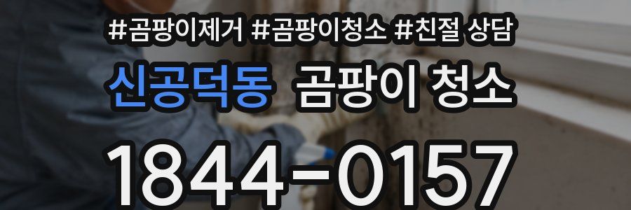 신공덕동 곰팡이 청소