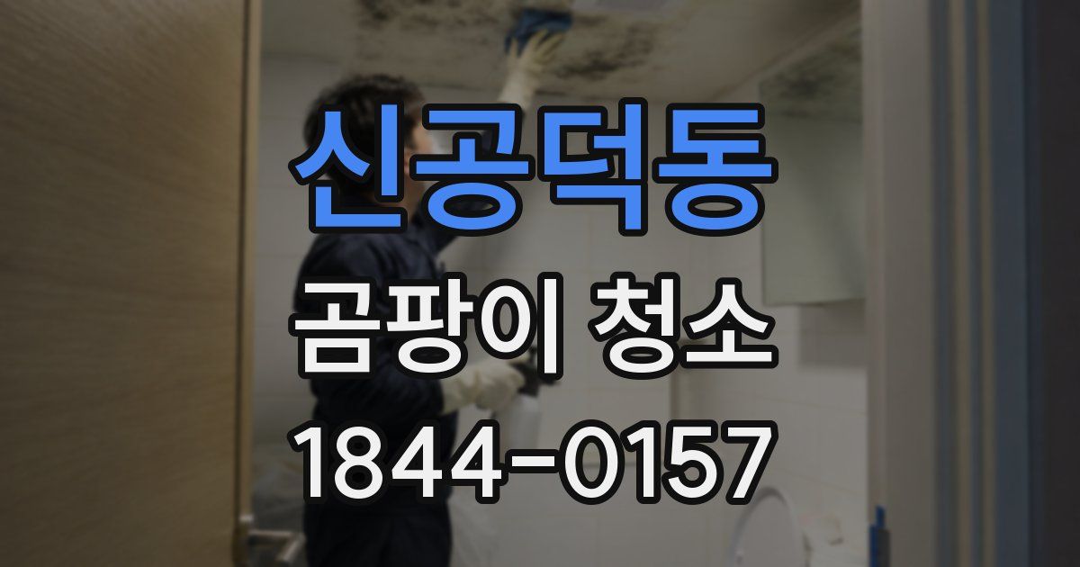 신공덕동 곰팡이 청소