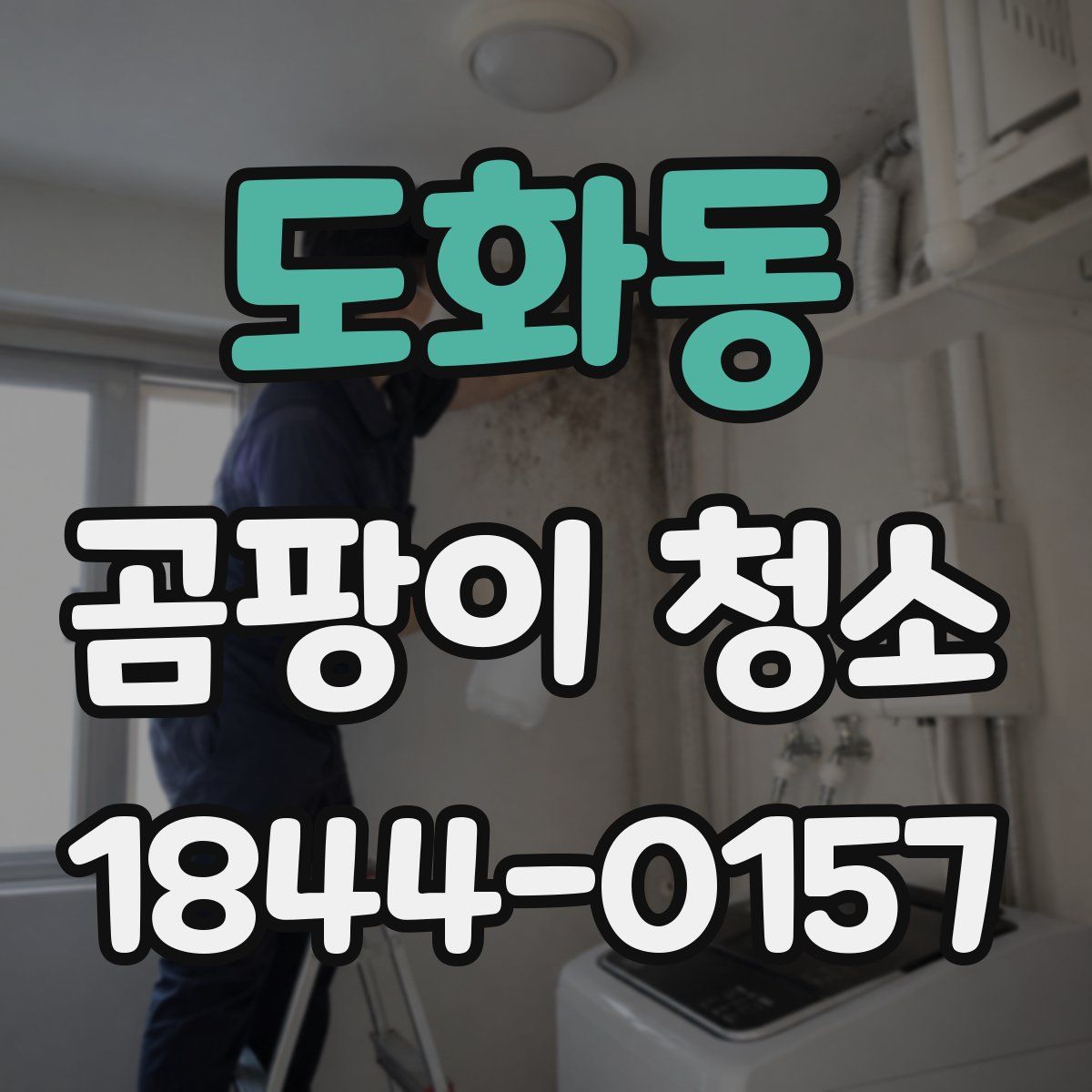 도화동 곰팡이 청소