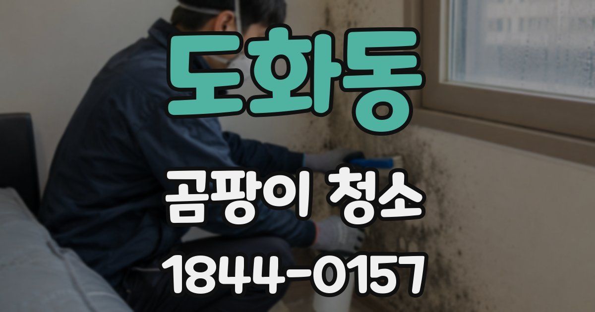 도화동 곰팡이 청소