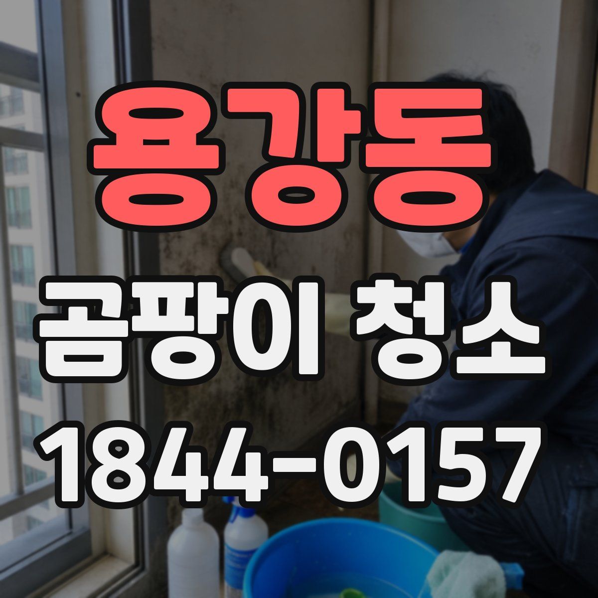 용강동 곰팡이 청소