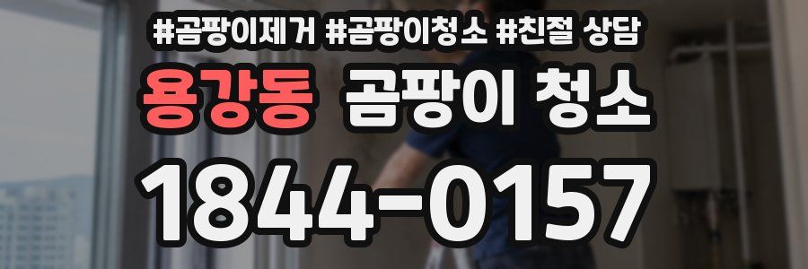 용강동 곰팡이 청소