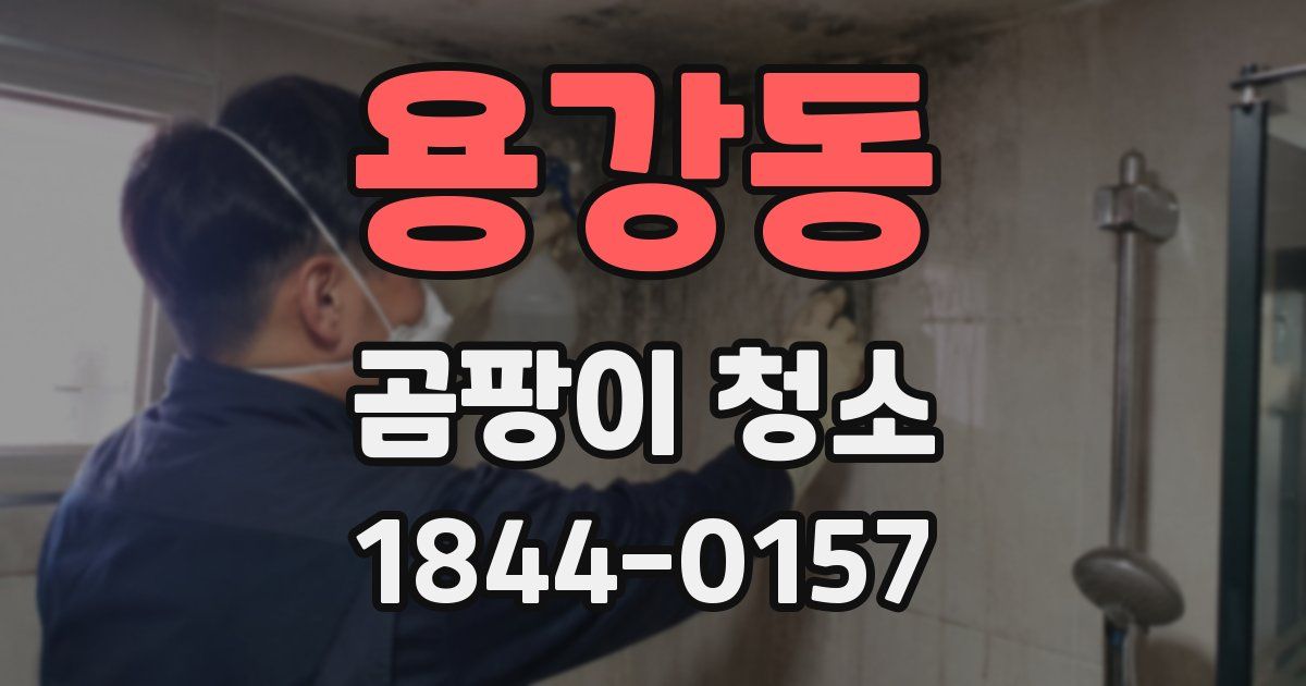 용강동 곰팡이 청소