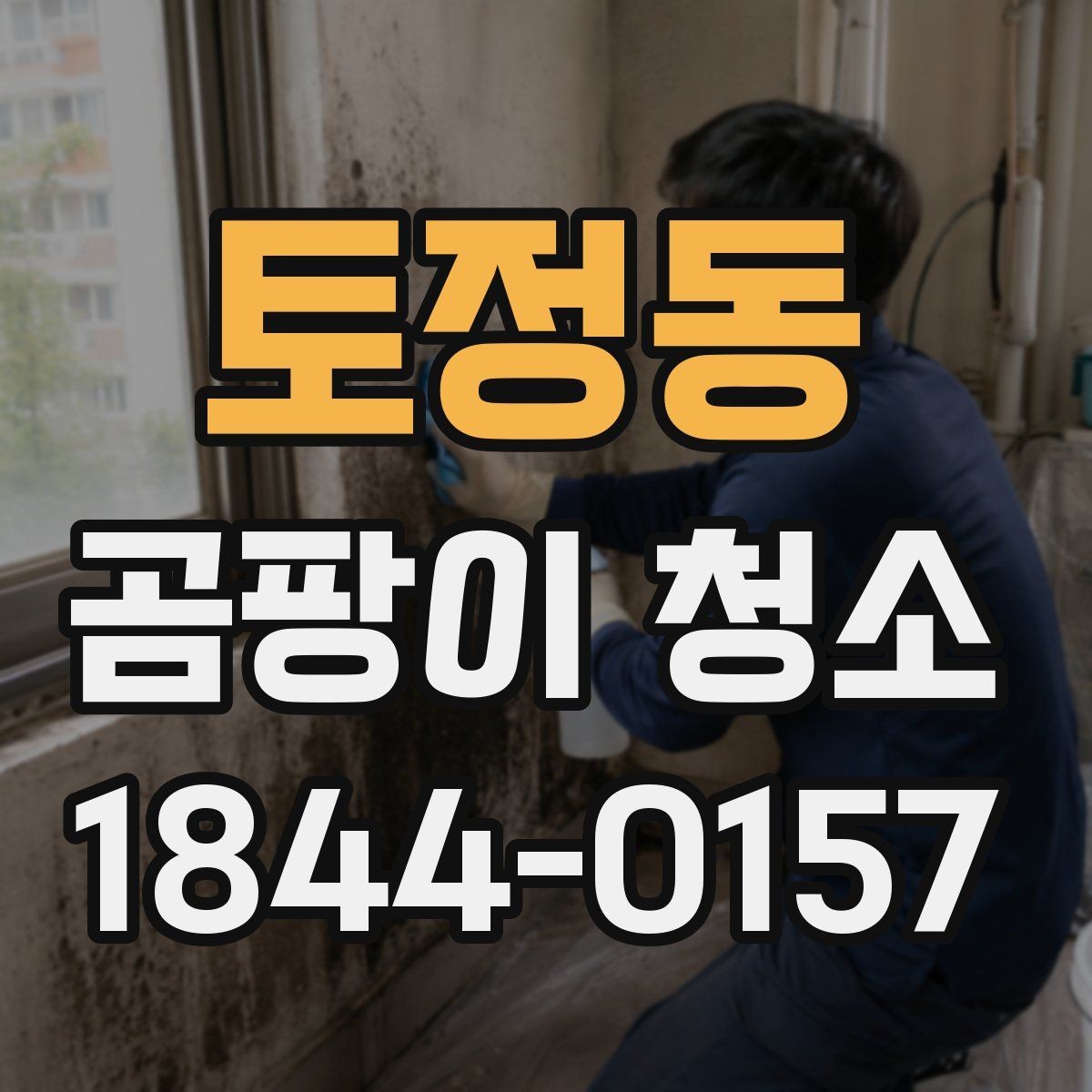 토정동 곰팡이 청소 전후 확인해야 할 사항 한눈에 보기