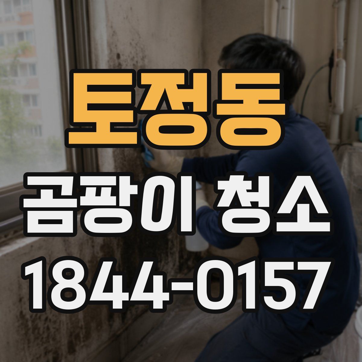 토정동 곰팡이 청소