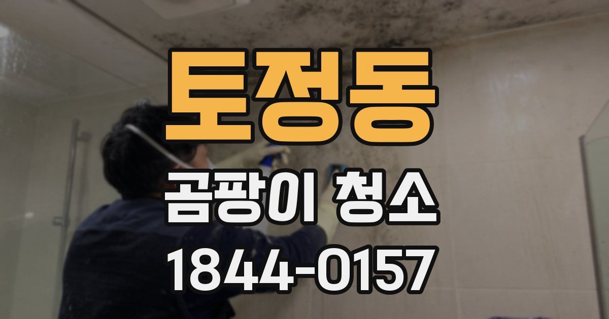 토정동 곰팡이 청소