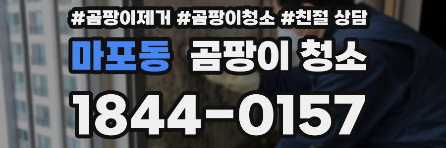 마포동 곰팡이 청소