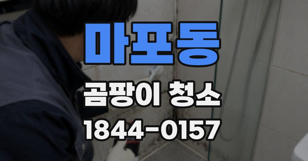 마포동 곰팡이 청소