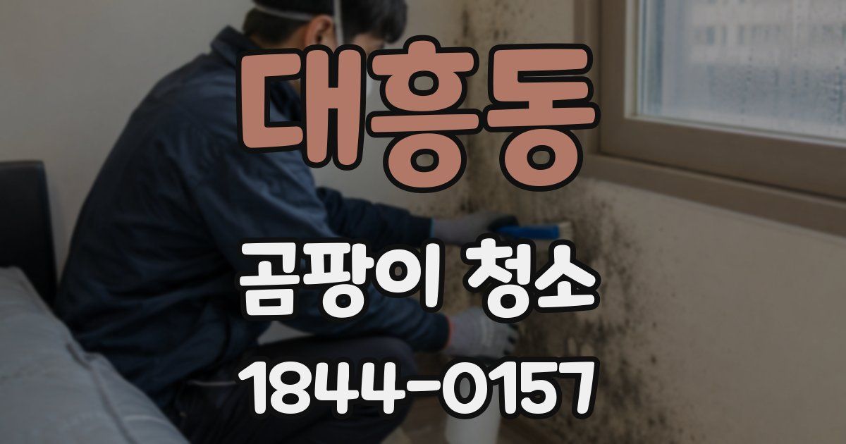 대흥동 곰팡이 청소