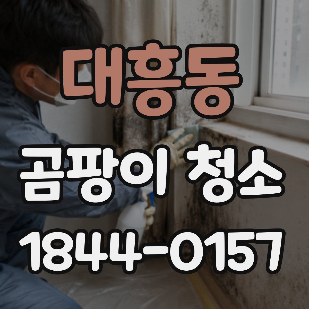 대흥동 곰팡이 청소