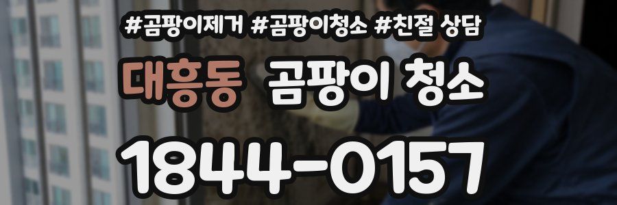 대흥동 곰팡이 청소