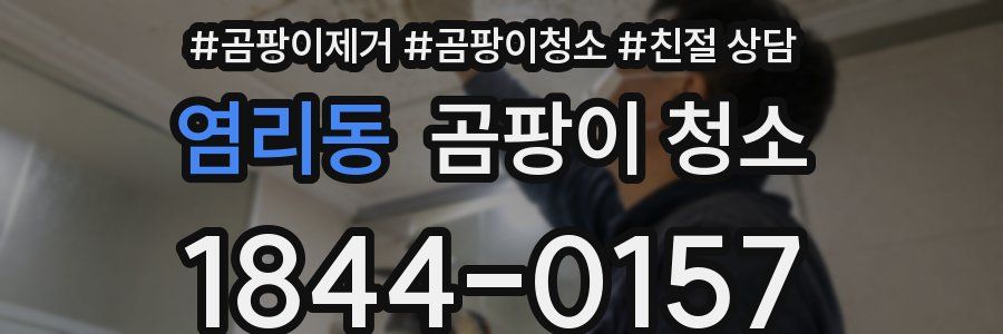 염리동 곰팡이 청소