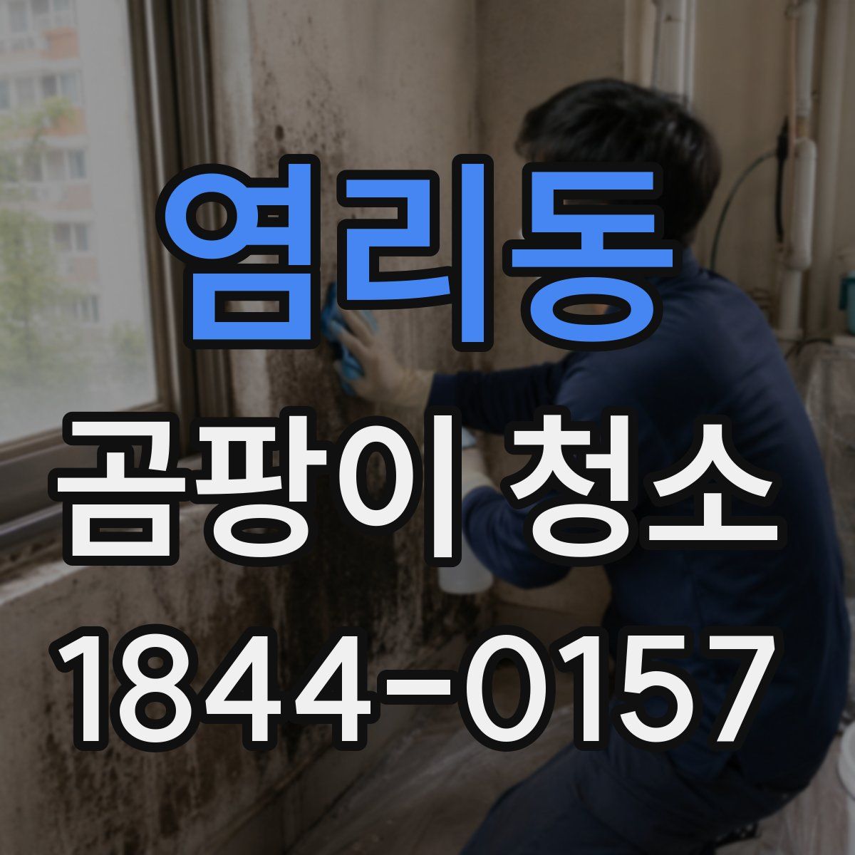 염리동 곰팡이 청소