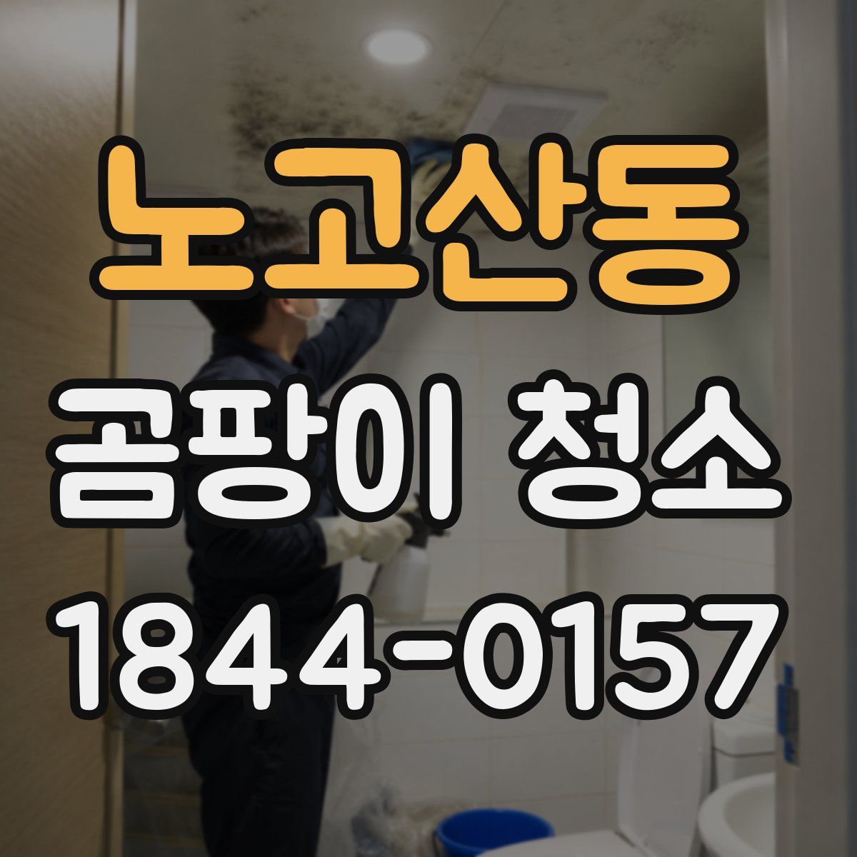 노고산동 곰팡이 청소