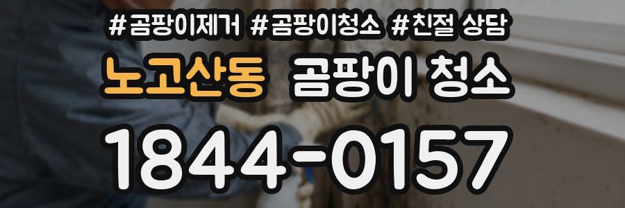 노고산동 곰팡이 청소