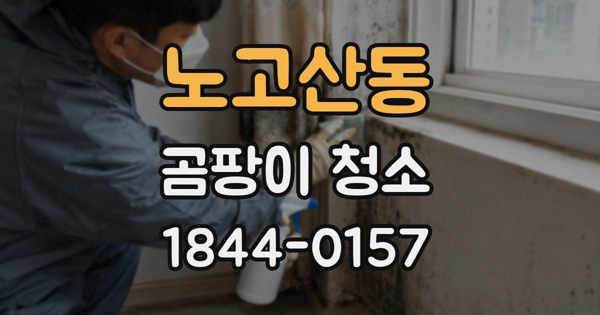 노고산동 곰팡이 청소