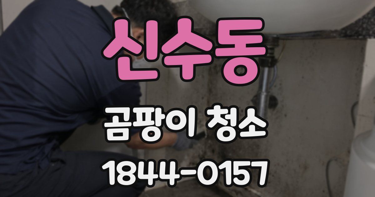 신수동 곰팡이 청소