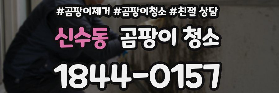 신수동 곰팡이 청소