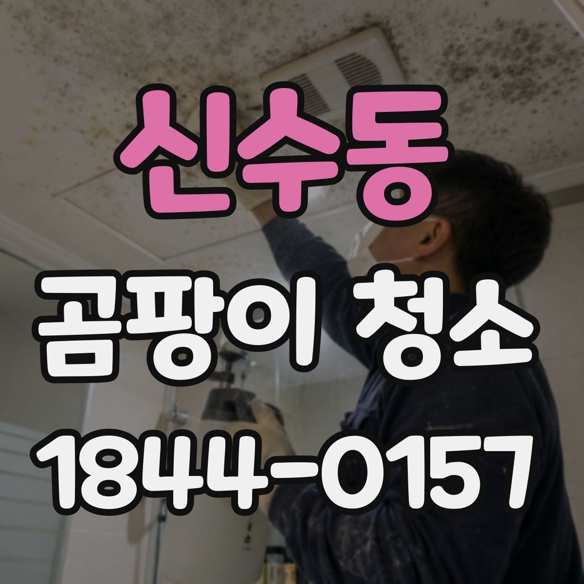신수동 곰팡이 청소