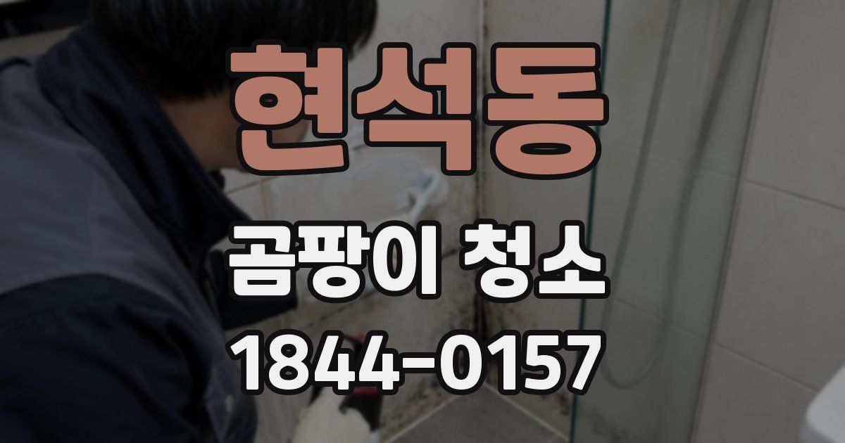 현석동 곰팡이 청소
