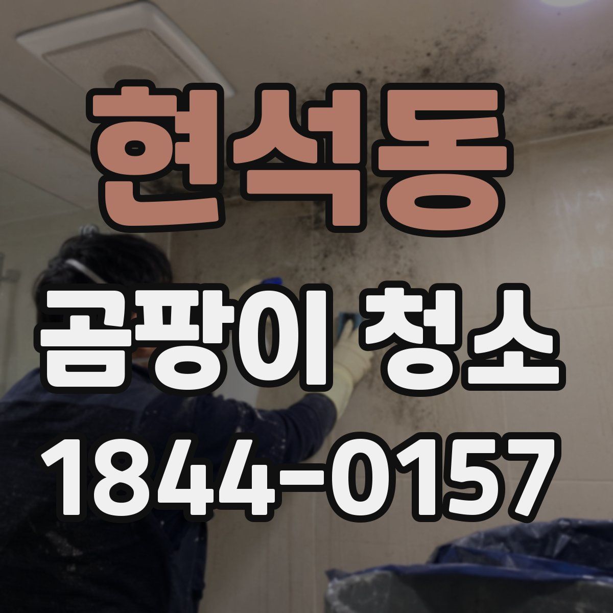현석동 곰팡이 청소